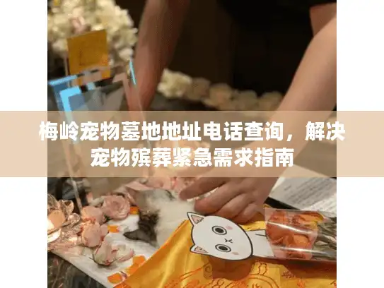 梅岭宠物墓地地址电话查询，解决宠物殡葬紧急需求指南