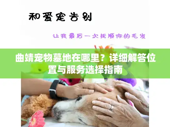 曲靖宠物墓地在哪里？详细解答位置与服务选择指南