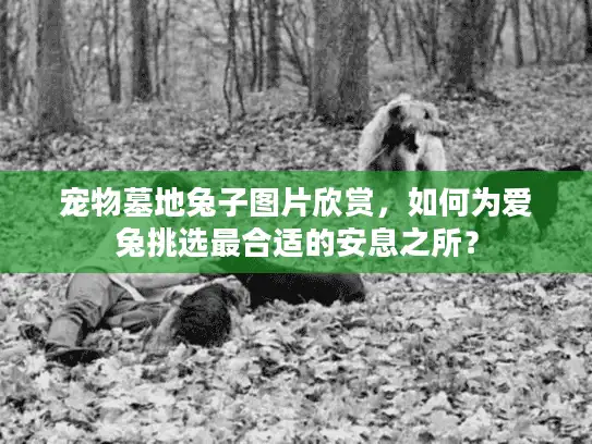 宠物墓地兔子图片欣赏，如何为爱兔挑选最合适的安息之所？