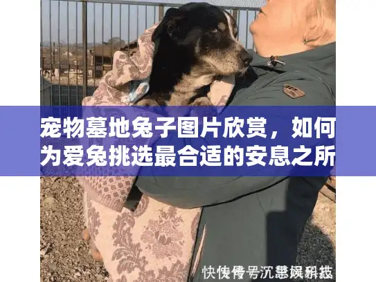 宠物墓地兔子图片欣赏，如何为爱兔挑选最合适的安息之所？