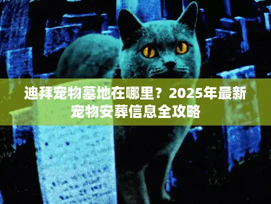 迪拜宠物墓地在哪里？2025年最新宠物安葬信息全攻略