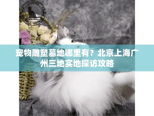 宠物雕塑墓地哪里有？北京上海广州三地实地探访攻略