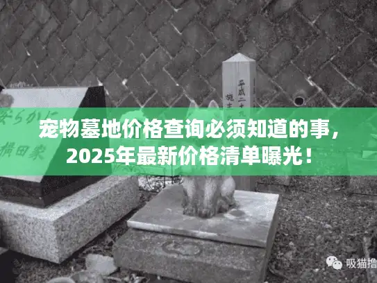 宠物墓地价格查询必须知道的事，2025年最新价格清单曝光！