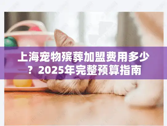 上海宠物殡葬加盟费用多少？2025年完整预算指南