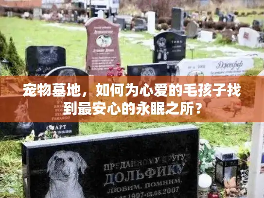 宠物墓地，如何为心爱的毛孩子找到最安心的永眠之所？