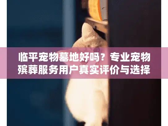 临平宠物墓地好吗？专业宠物殡葬服务用户真实评价与选择建议
