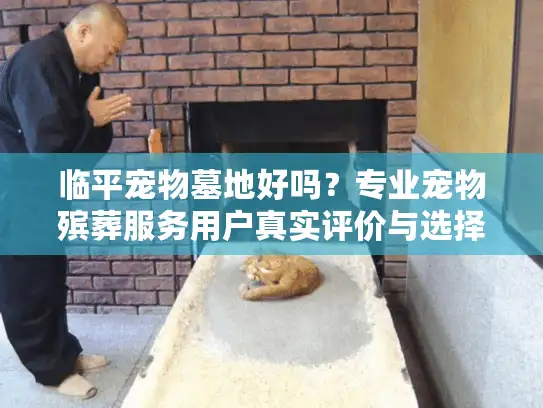 临平宠物墓地好吗？专业宠物殡葬服务用户真实评价与选择建议