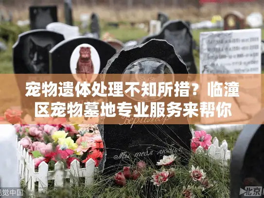 宠物遗体处理不知所措？临潼区宠物墓地专业服务来帮你