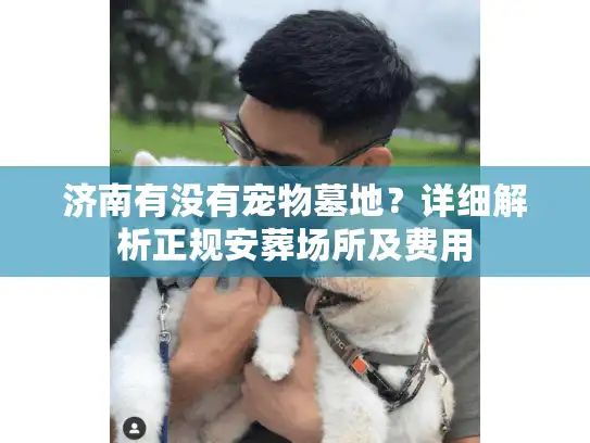 济南有没有宠物墓地？详细解析正规安葬场所及费用