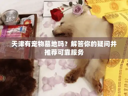 天津有宠物墓地吗？解答你的疑问并推荐可靠服务