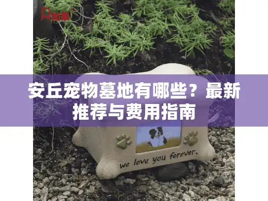 安丘宠物墓地有哪些？最新推荐与费用指南