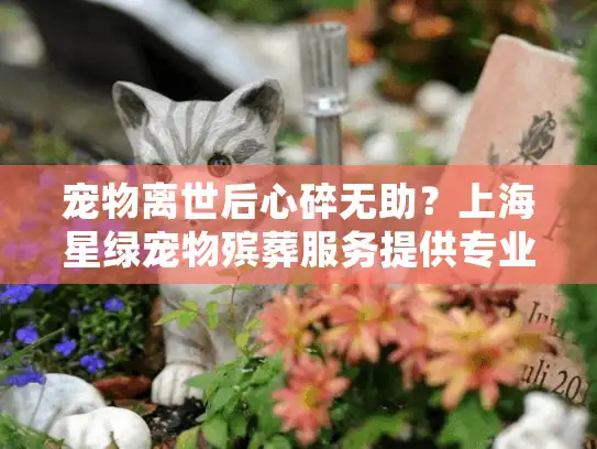 宠物离世后心碎无助？上海星绿宠物殡葬服务提供专业后事处理方案