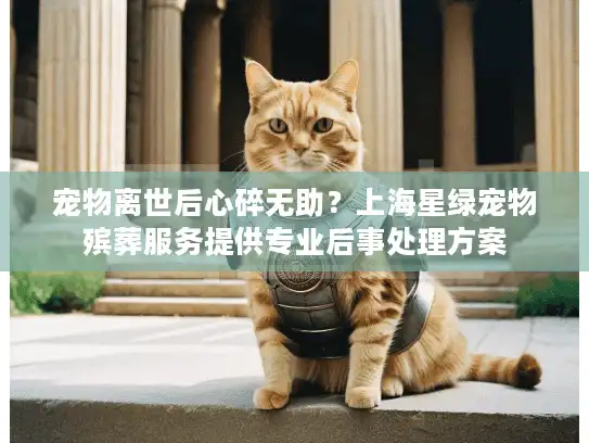 宠物离世后心碎无助？上海星绿宠物殡葬服务提供专业后事处理方案