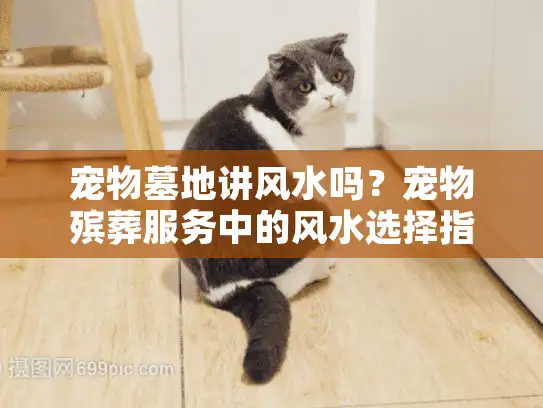 宠物墓地讲风水吗？宠物殡葬服务中的风水选择指南