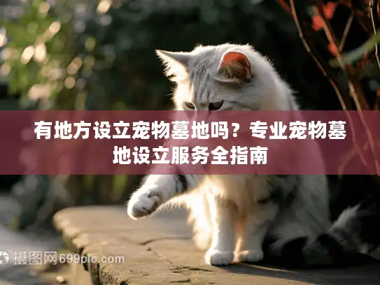 有地方设立宠物墓地吗？专业宠物墓地设立服务全指南