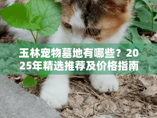 玉林宠物墓地有哪些？2025年精选推荐及价格指南