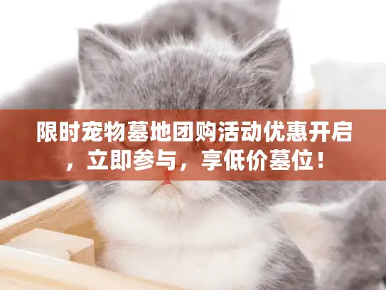 限时宠物墓地团购活动优惠开启，立即参与，享低价墓位！