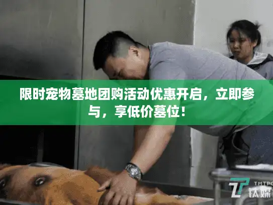 限时宠物墓地团购活动优惠开启，立即参与，享低价墓位！