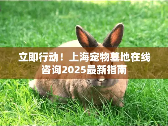 立即行动！上海宠物墓地在线咨询2025最新指南