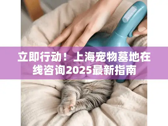 立即行动！上海宠物墓地在线咨询2025最新指南