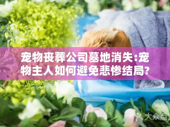 宠物丧葬公司墓地消失:宠物主人如何避免悲惨结局?