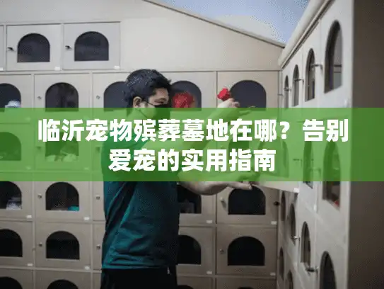 临沂宠物殡葬墓地在哪？告别爱宠的实用指南