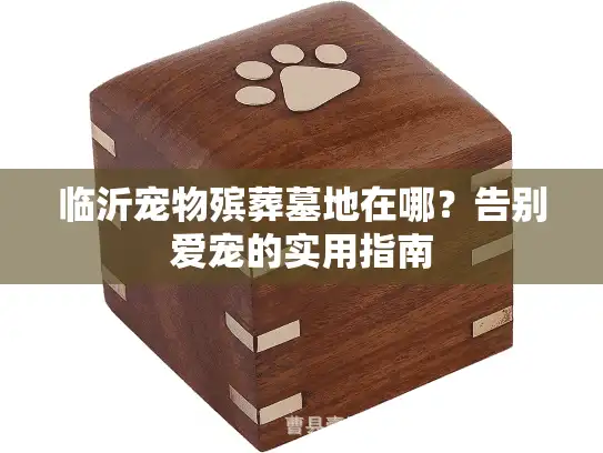 临沂宠物殡葬墓地在哪？告别爱宠的实用指南