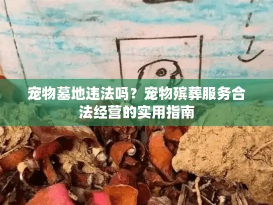 宠物墓地违法吗？宠物殡葬服务合法经营的实用指南