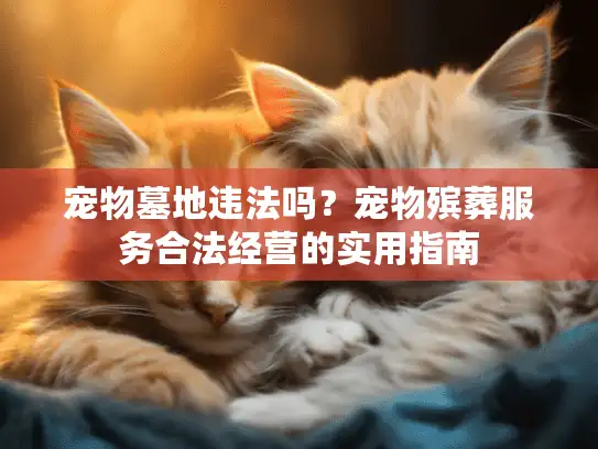 宠物墓地违法吗？宠物殡葬服务合法经营的实用指南