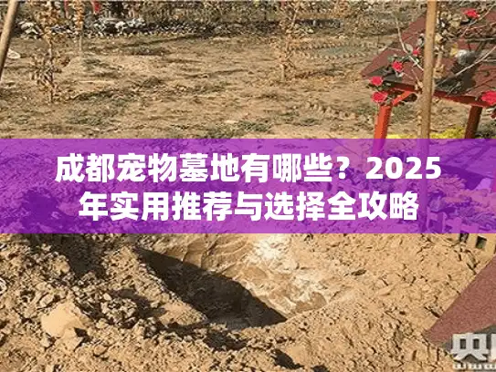成都宠物墓地有哪些？2025年实用推荐与选择全攻略