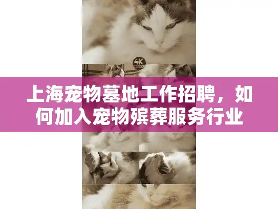 上海宠物墓地工作招聘，如何加入宠物殡葬服务行业？