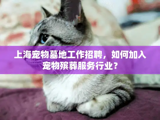 上海宠物墓地工作招聘，如何加入宠物殡葬服务行业？