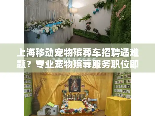 上海移动宠物殡葬车招聘遇难题？专业宠物殡葬服务职位即刻填补中！