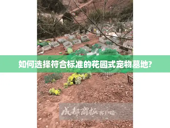 如何选择符合标准的花园式宠物墓地?
