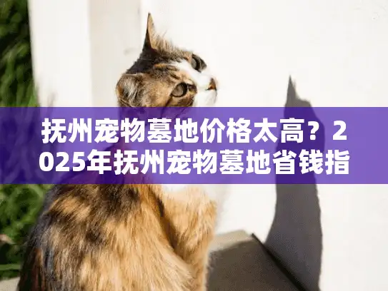 抚州宠物墓地价格太高？2025年抚州宠物墓地省钱指南