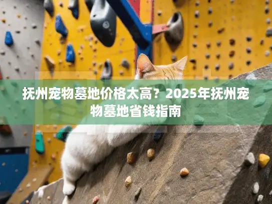 抚州宠物墓地价格太高？2025年抚州宠物墓地省钱指南