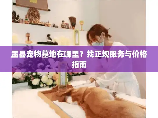 盂县宠物墓地在哪里？找正规服务与价格指南