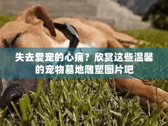 失去爱宠的心痛？欣赏这些温馨的宠物墓地雕塑图片吧