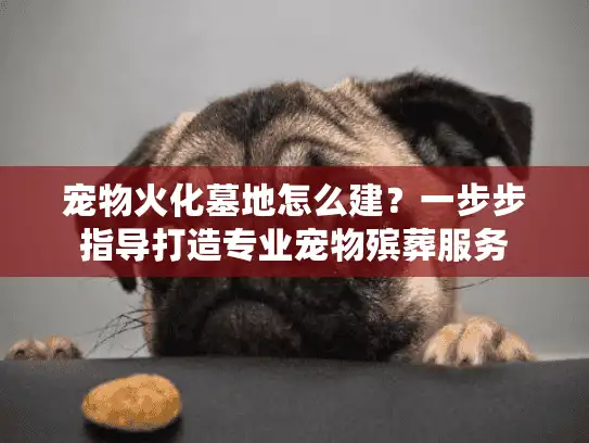 宠物火化墓地怎么建？一步步指导打造专业宠物殡葬服务