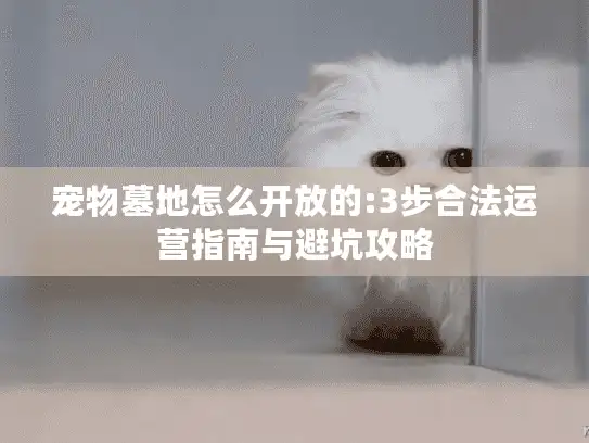 宠物墓地怎么开放的:3步合法运营指南与避坑攻略
