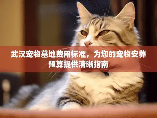 武汉宠物墓地费用标准，为您的宠物安葬预算提供清晰指南