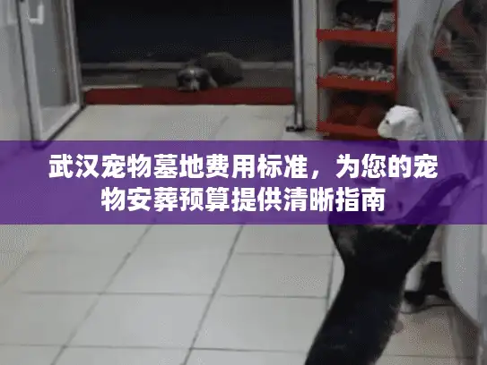 武汉宠物墓地费用标准，为您的宠物安葬预算提供清晰指南