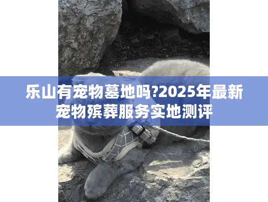 乐山有宠物墓地吗?2025年最新宠物殡葬服务实地测评