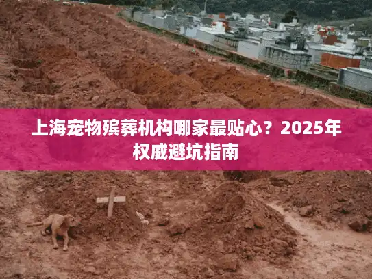 上海宠物殡葬机构哪家最贴心？2025年权威避坑指南