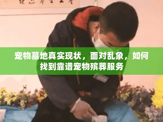 宠物墓地真实现状，面对乱象，如何找到靠谱宠物殡葬服务