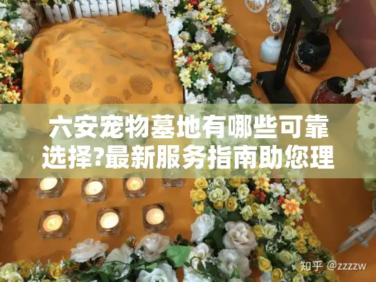 六安宠物墓地有哪些可靠选择?最新服务指南助您理性决策