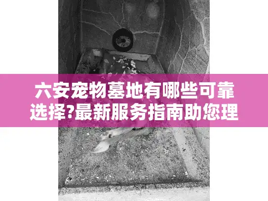 六安宠物墓地有哪些可靠选择?最新服务指南助您理性决策