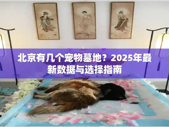 北京有几个宠物墓地？2025年最新数据与选择指南