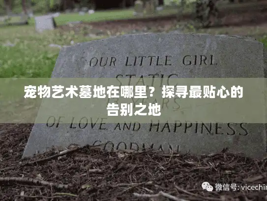 宠物艺术墓地在哪里？探寻最贴心的告别之地