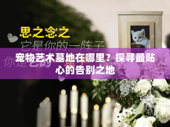 宠物艺术墓地在哪里？探寻最贴心的告别之地